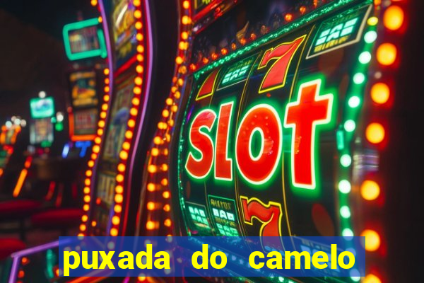 puxada do camelo jogo do bicho